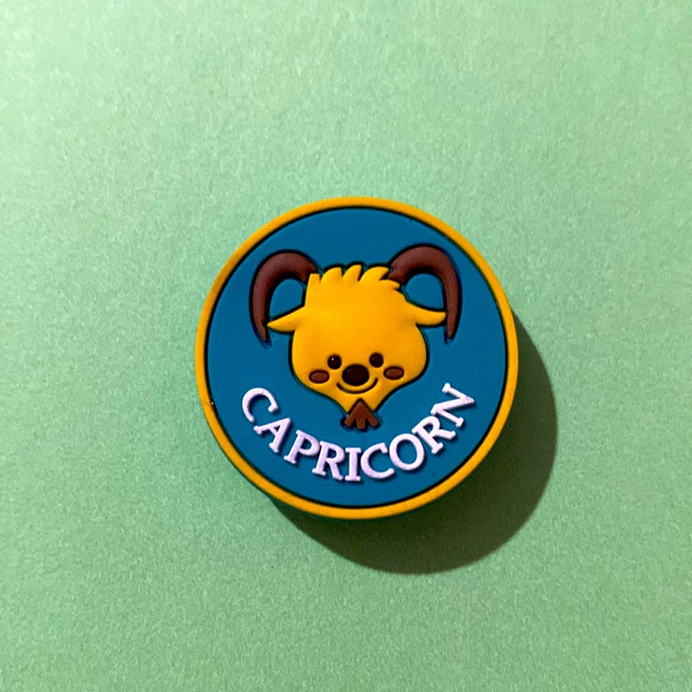 (10 for $15) Capricorn Horoscopes 12 Zodiac Signs Croc Shoe Charms